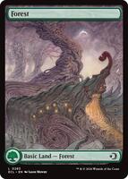 Forest (0283) - Lorwyn Eclipsed - Magic: The Gathering - TCGplayer.com