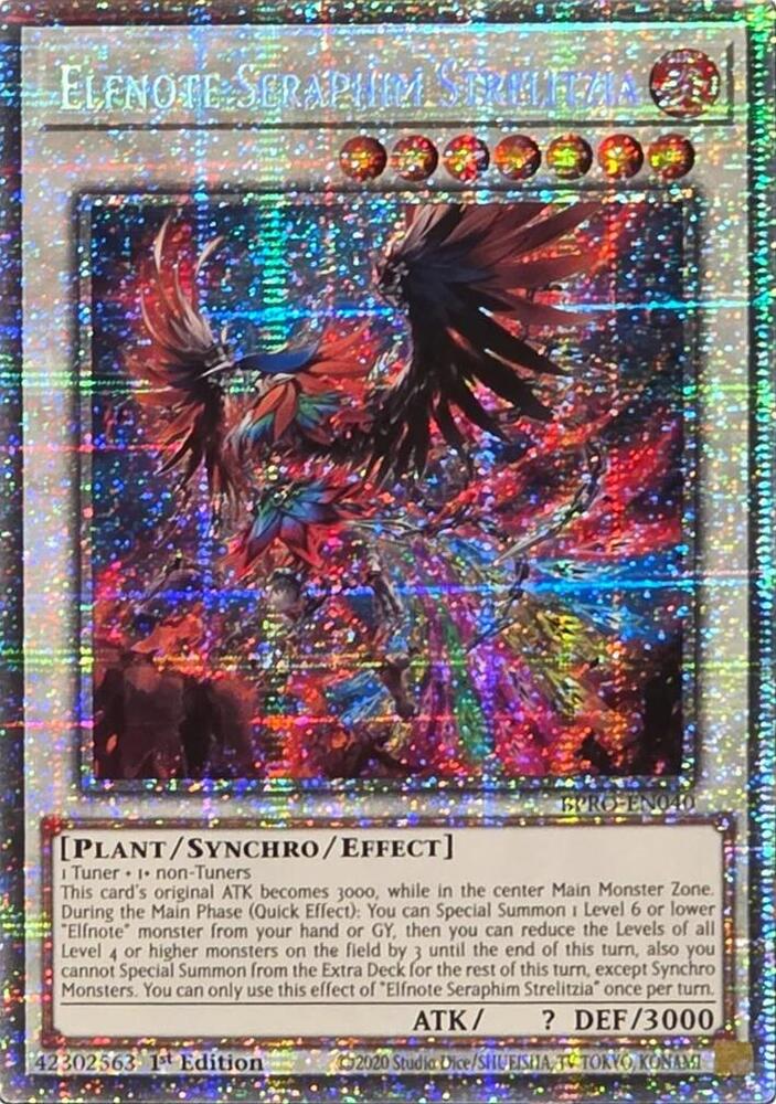 Elfnote Seraphim Strelitzia