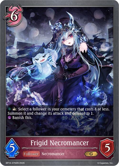 Frigid Necromancer