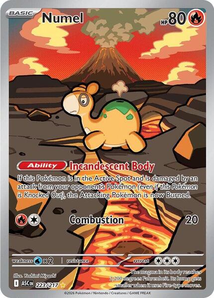 Numel card image