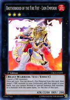 Cartes Yu-Gi-Oh! édition Lord of the Tachyon Galaxy (Cartes à l'Unité