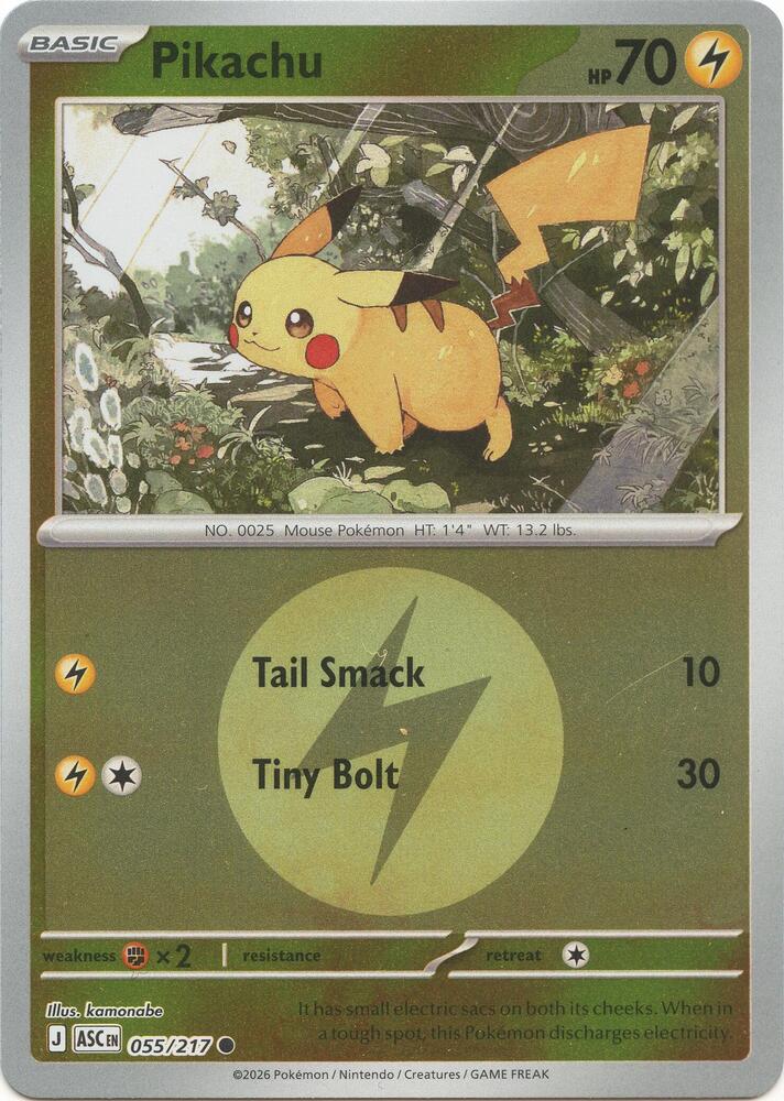 Pikachu (Energy Symbol Pattern) 055/217