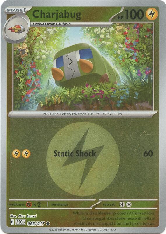 Charjabug (Energy Symbol Pattern) 065/217 from ME: Ascended Heroes