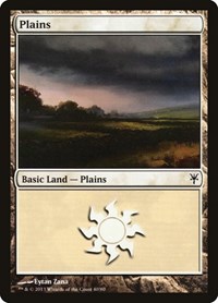 Plains (40) - Duel Decks: Sorin vs. Tibalt - Magic: The Gathering card