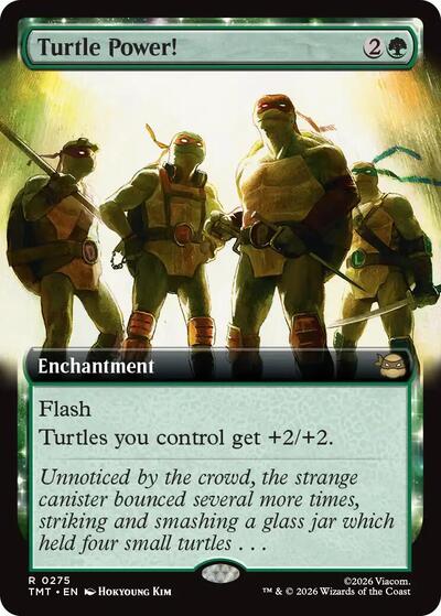 Turtle Power Extended Art