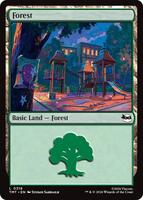 Forest (0319) - Teenage Mutant Ninja Turtles - Magic: The