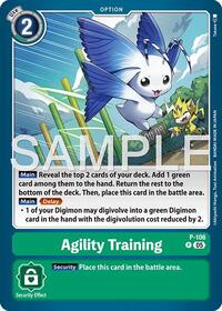 Agility Training (Reprint)