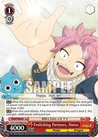 のり natsu Frolicking Partners, Natsu (SR) - FAIRY TAIL 100 YEARS QUEST