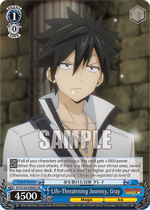 Life-Threatening Journey, Gray (SR)