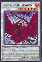 yugioh master duel black rose dragon deck YGOrganization yugioh master duel black rose