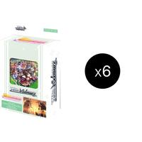 Umamusume: Pretty Derby Race 2 Trial Deck Display