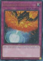 遊戯王　ドラゴン　コレクション Dark Rebellion Xyz Dragon - Legendary Dragon Decks - YuGiOh