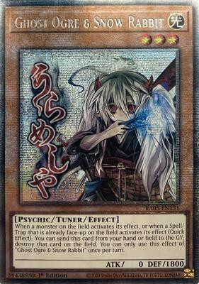 Rarity Collection 5 | YuGiOh | TCGplayer Rarity Collection 5 | YuGiOh | TCGplayer