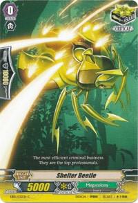 Shelter Beetle
