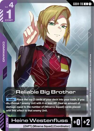 Reliable Big Brother card