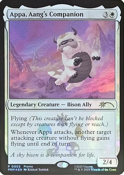 Appa Aangs Companion