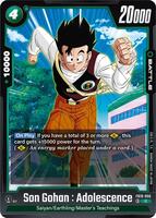 Son Gohan : Adolescence - Cross Force - Dragon Ball Super: Fusion