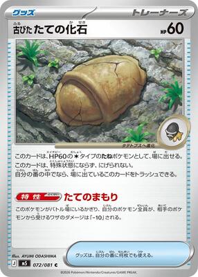 Antique Armor Fossil