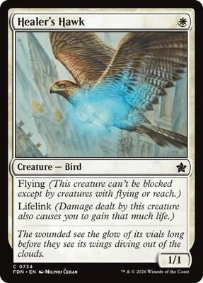 Healer's Hawk