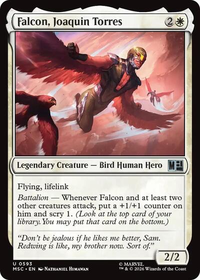 Falcon Joaquin Torres