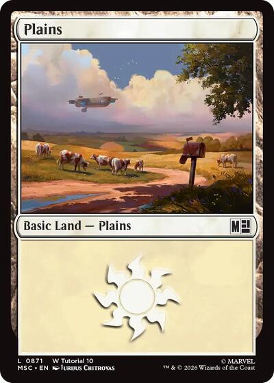 Plains 0871
