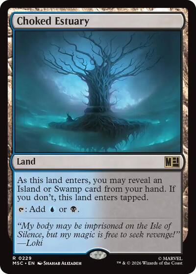 Choked Estuary Surge Foil