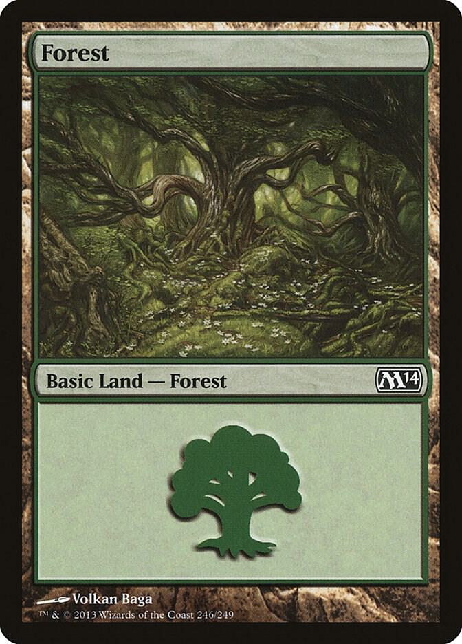 Forest (246) - Magic 2014 (M14) - Magic: The Gathering - TCGplayer.com