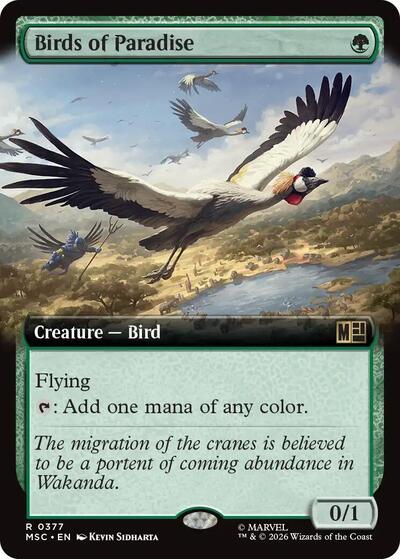 Birds of Paradise Extended Art