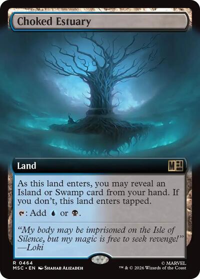 Choked Estuary Extended Art