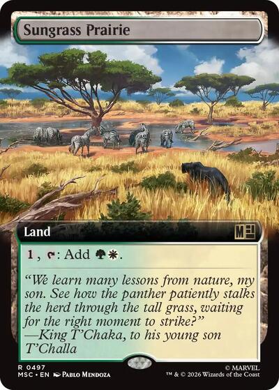 Sungrass Prairie Extended Art