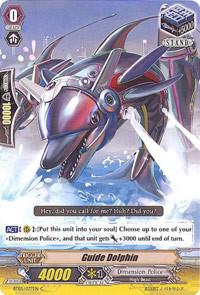 Guide Dolphin