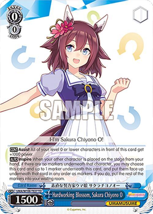 Hardworking Blossom, Sakura Chiyono O
