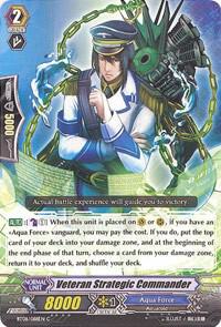 Veteran Strategic Commander
