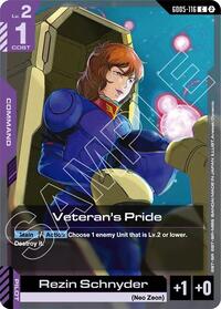 Freedom Ascension Veteran's Pride