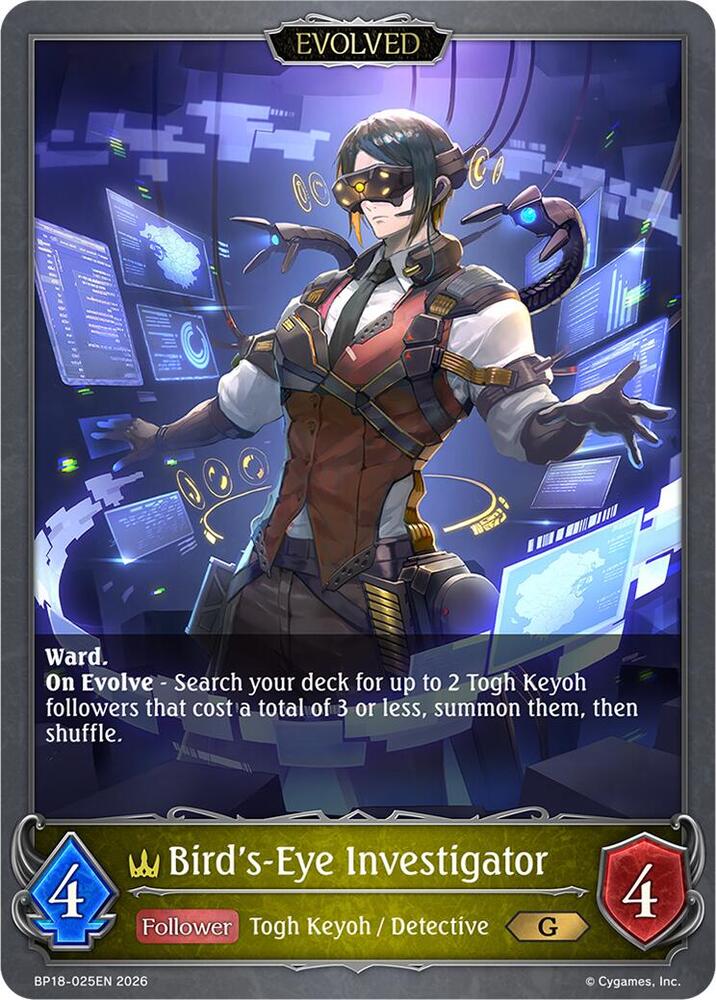 Bird's-Eye Investigator (Evolved)