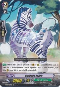 Barcode Zebra