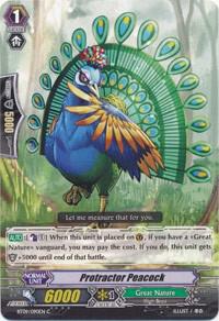 Protractor Peacock