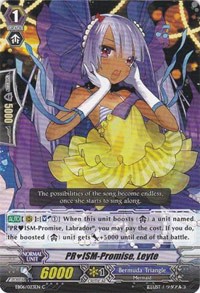 PRISM-Promise, Leyte