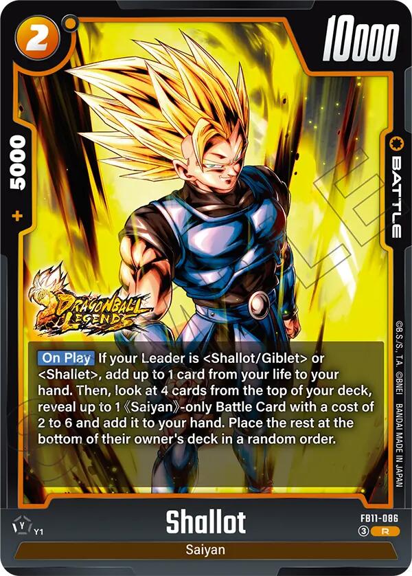 Shallot - FB11-086