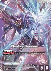 Destiny Gundam (R+) — Freedom Ascension