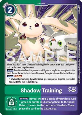 Shadow Training