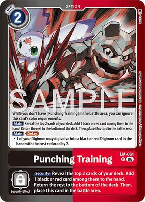 Punching Training