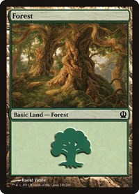 Forest (249) - Theros - Magic: The Gathering card