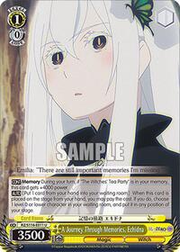 A Journey Through Memories, Echidna