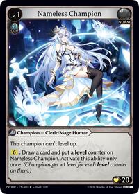 Nameless Champion (Cleric/Mage)