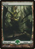 MTG 基本土地　山　Jung Park サインド　20枚 Forest (247) - Full Art - Zendikar - Magic: The Gathering