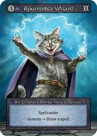 Apurrentice Wizard