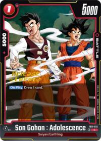 Son Gohan : Adolescence - FB11-015