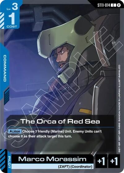 The Orca of Red Sea