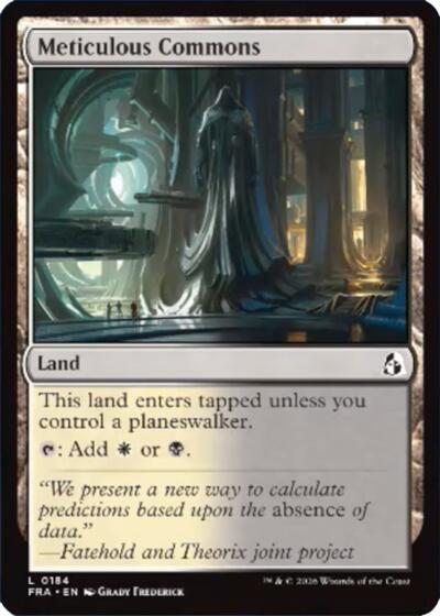 Meticulous Commons from FRA #184, Magic: The Gathering card